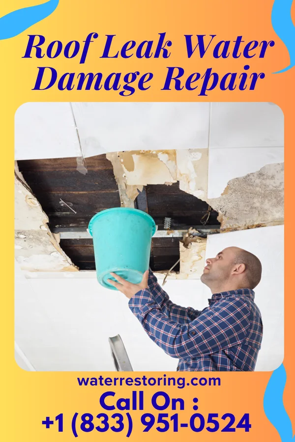 Roof Leak Water Damage Repair in Crestview, KY