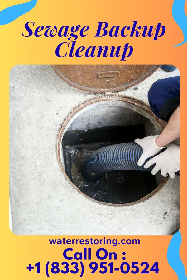 Sewage Backup Cleanup in Crestview, KY