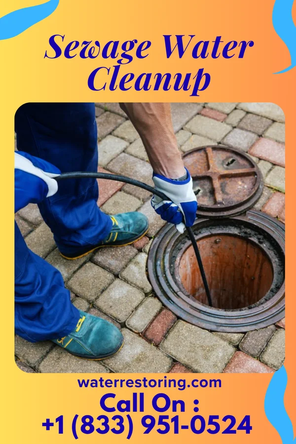 Sewage Water Cleanup in Crestview, KY