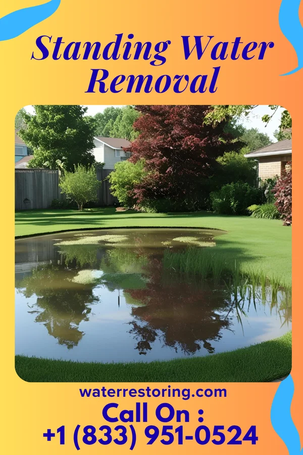 Standing Water Removal in Crestview, KY